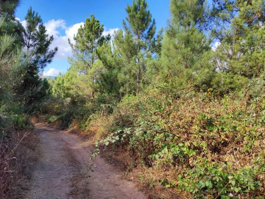 Terreno agrícola e de construção-Barragem do Vilar-Moimenta da Beira