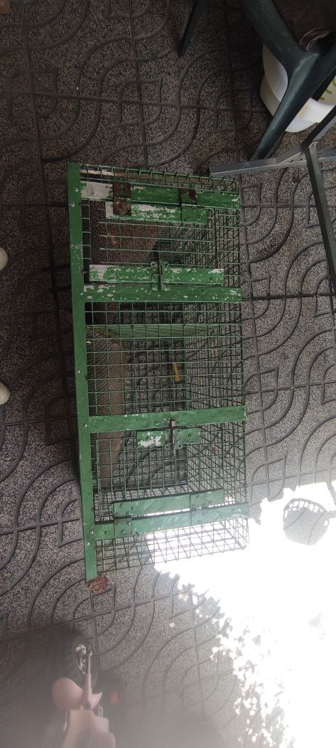 Transportador para cães