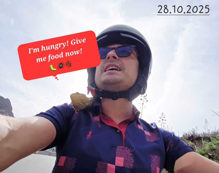 Korepetycje z angielskiego online – native speaker, ciekawie!