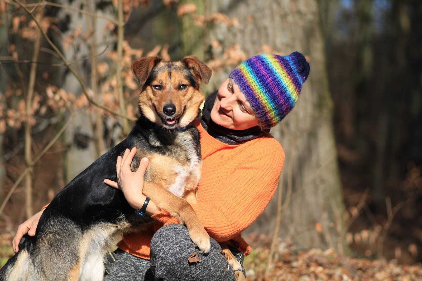 STORMI- 1,5 roku, 14kg, niebieskie plamki na oczach -mix husky. [FILM}