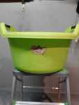 bacia plastica codil