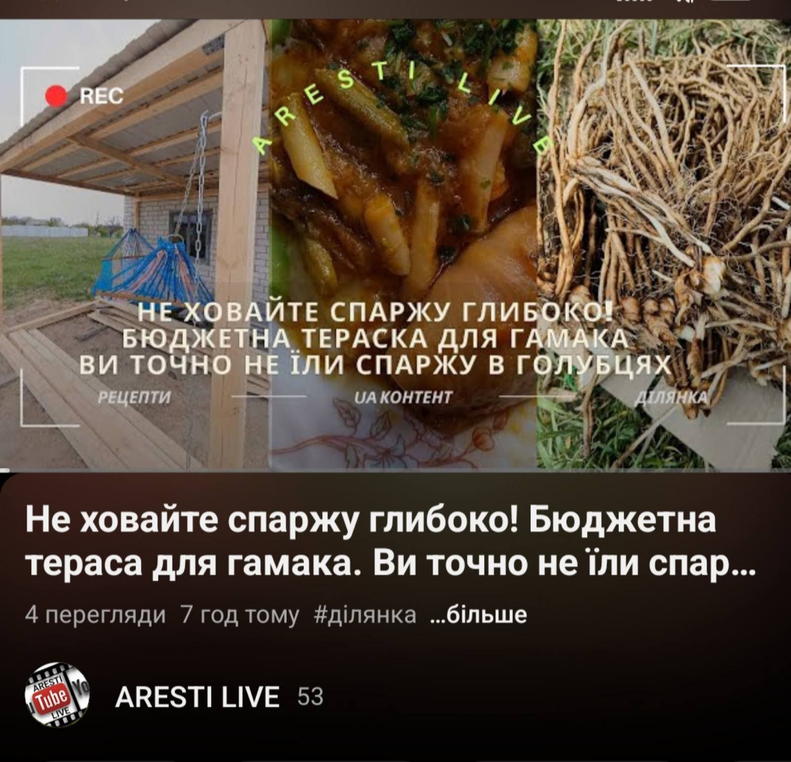 Саджанці спаржі сорт Аржентельська