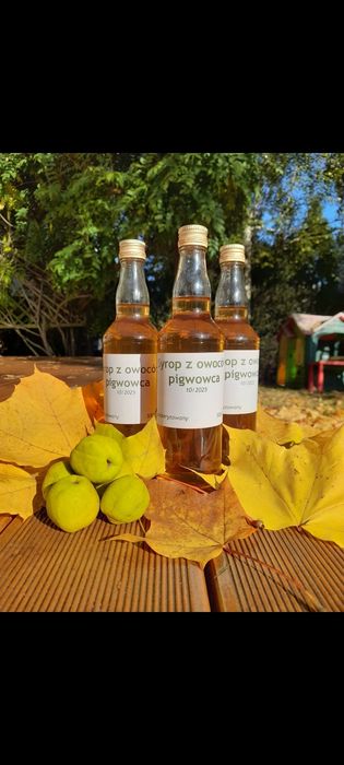 Syrop z pigwowca japońskiego 500ml