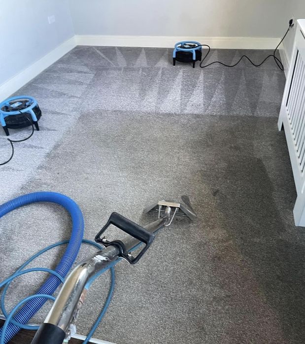 Profesjonalne pranie tapicerki meblowej i wykładzin Pralnia Dywanów