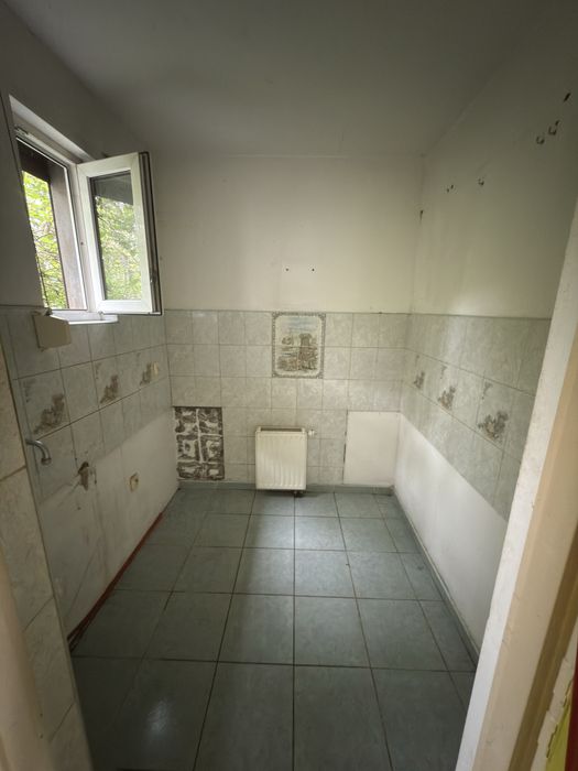 Dzialka ROD im. M. Palacza w Poznaniu