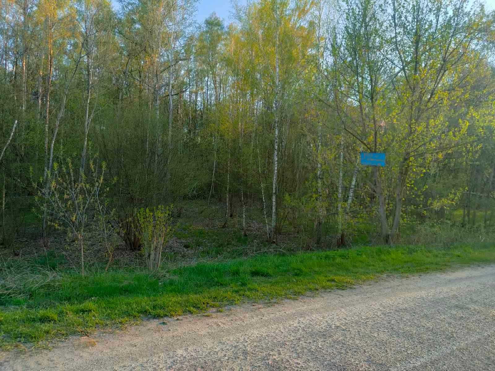 Є земельна ділянка  біля лісу, асфальт. Підійде під туристичний бізнес
