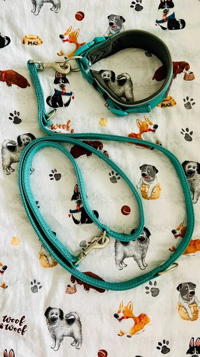 smycz i obroża dla psa smycz 3 punktowa