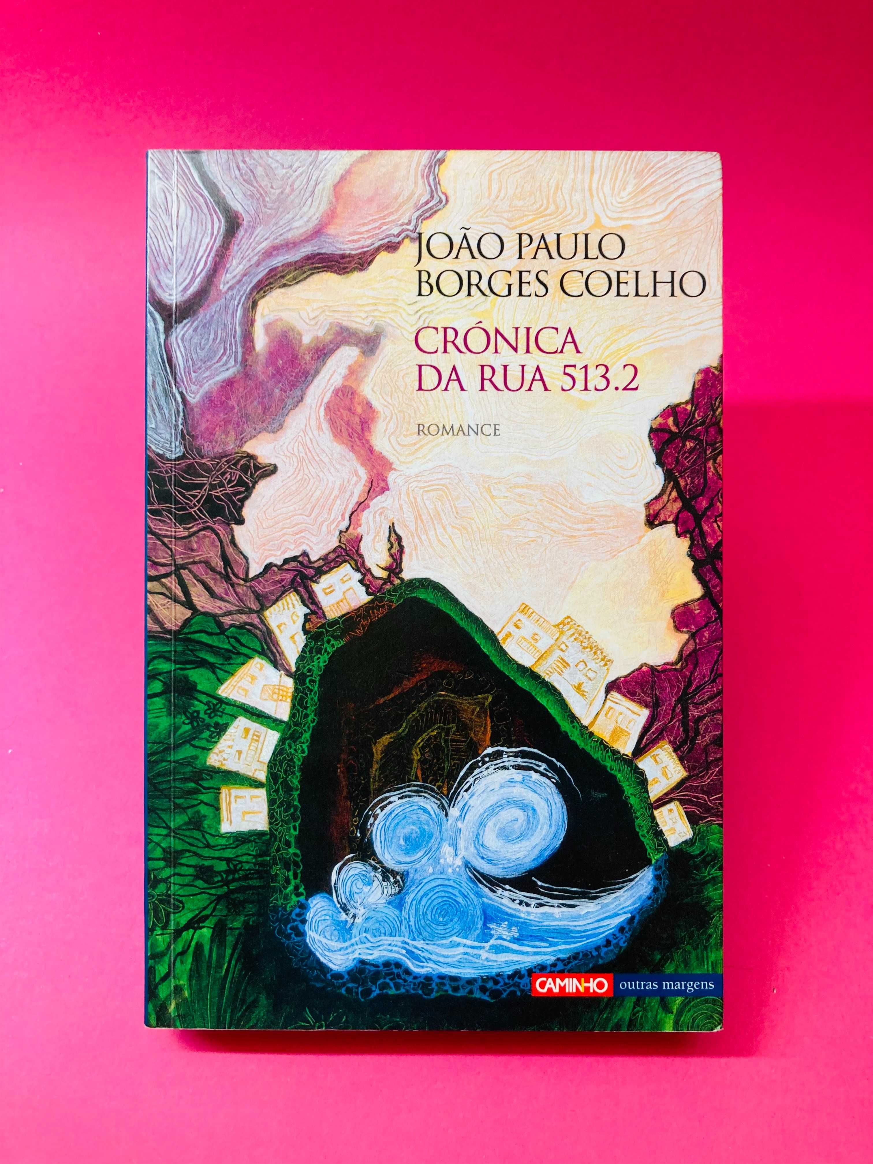 Crónicas da Rua 513.2 - João Paulo Borges Coelho