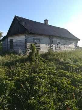 Будинок в селі Старостине Ратнівський район Волинська обл.