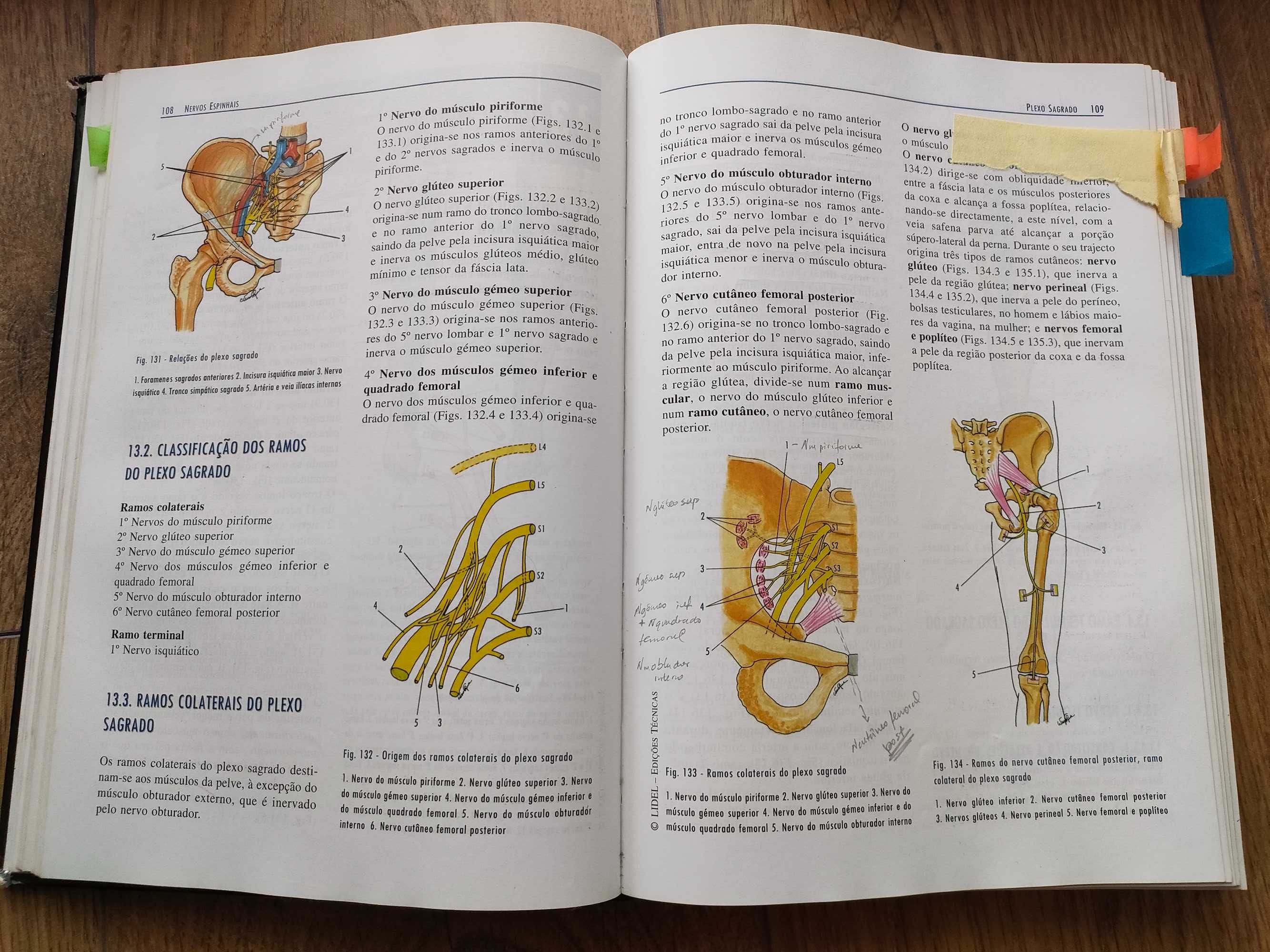 ANATOMIA HUMANA DA RELAÇÃO ("Pina da Relação") - J.A. Esperança Pina