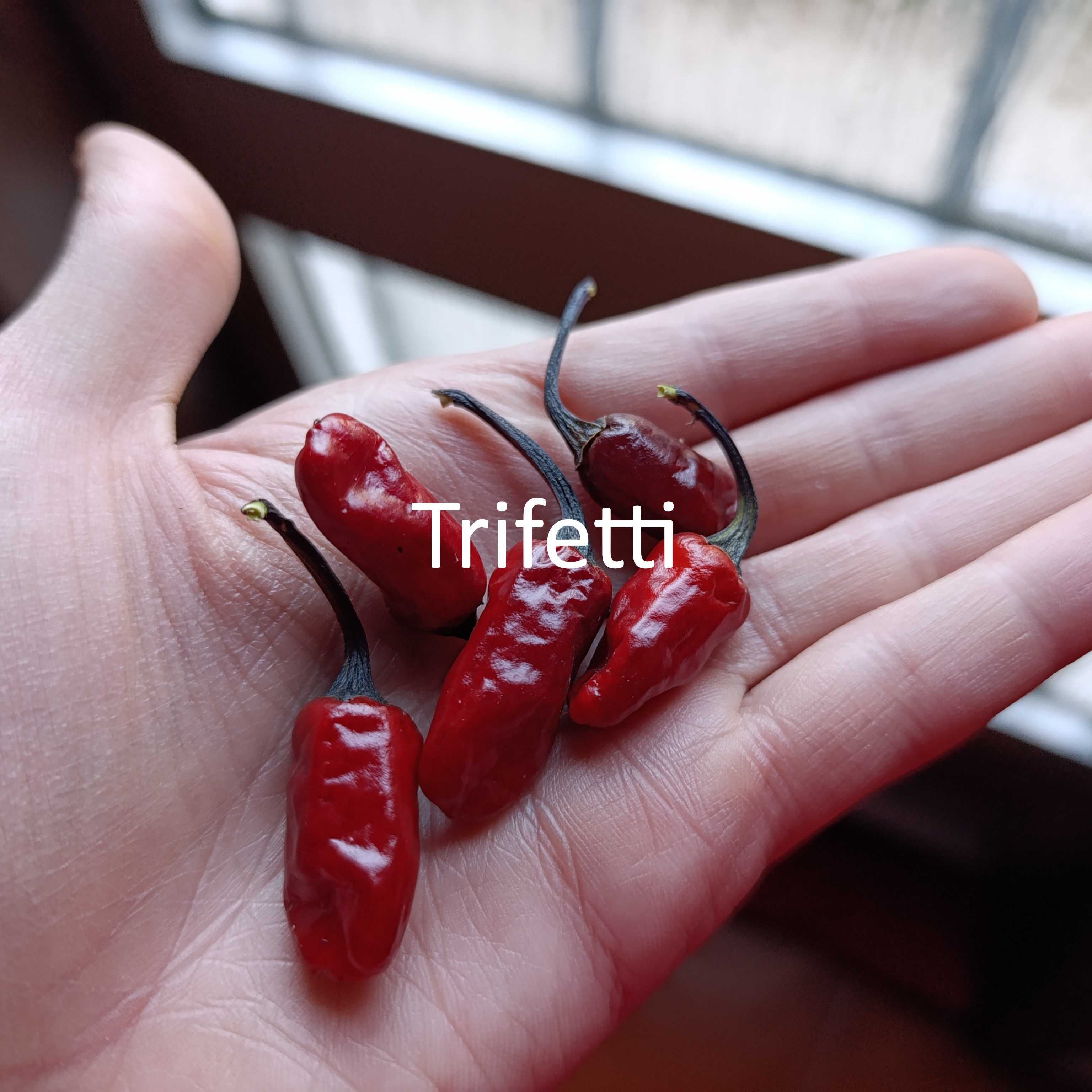 Sementes Pimentas