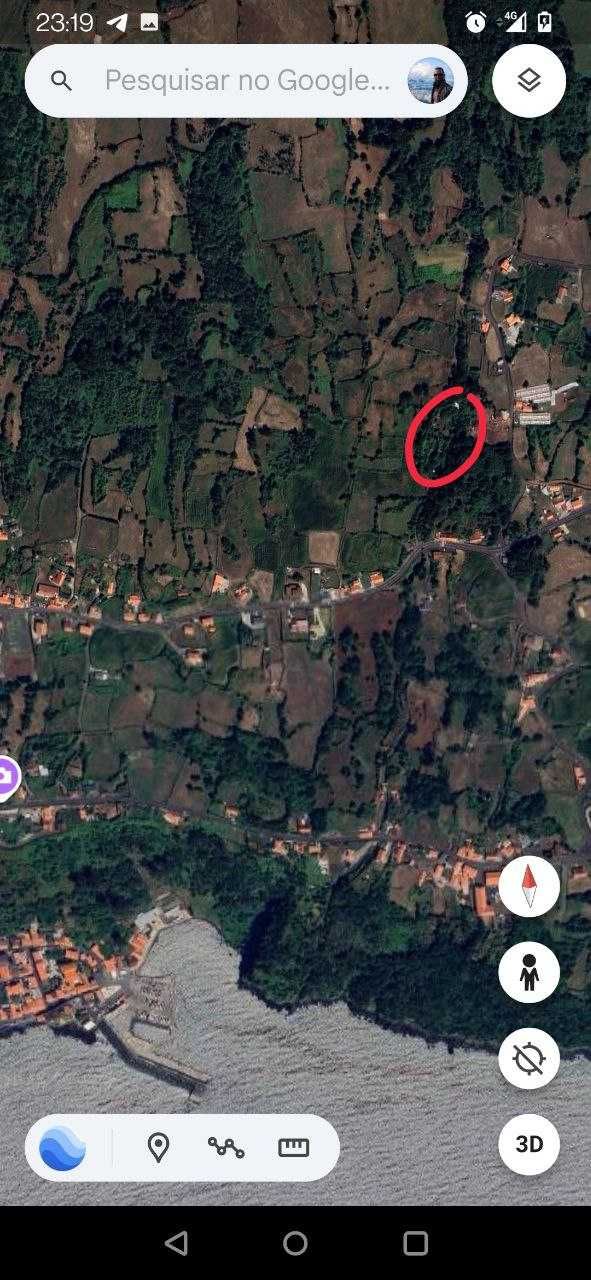 Terreno com pomar 3000m2