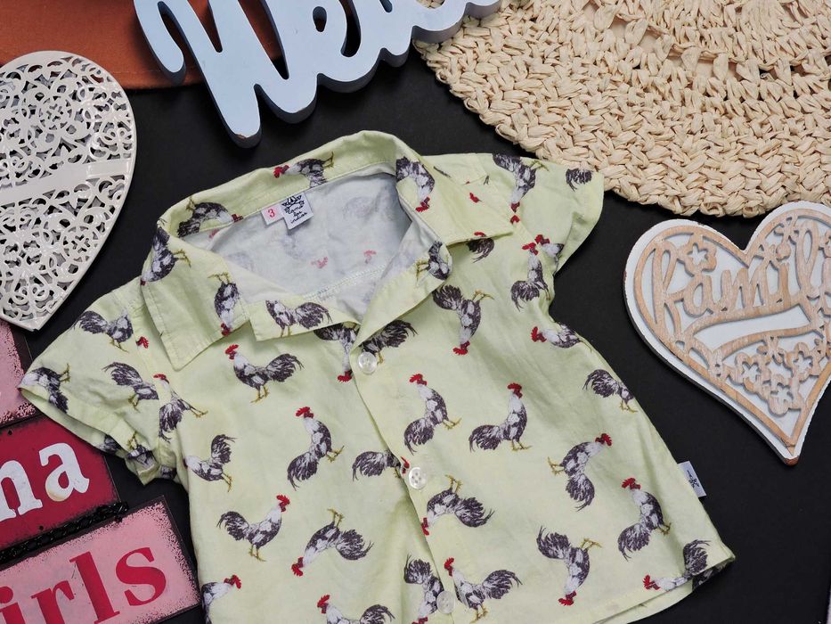 Comalasindias - koszula bawełna koguty r 68