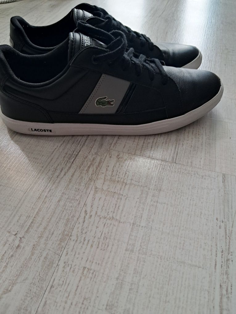 Buty lacoste 44 meskie