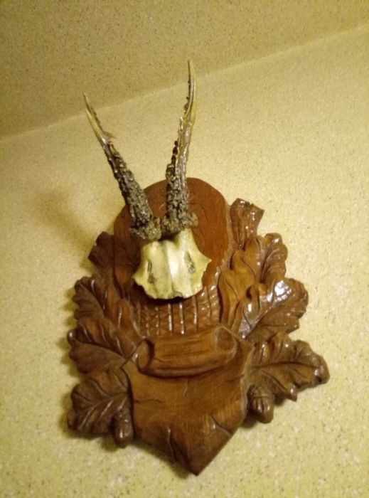 Роги оленя та гірського козла