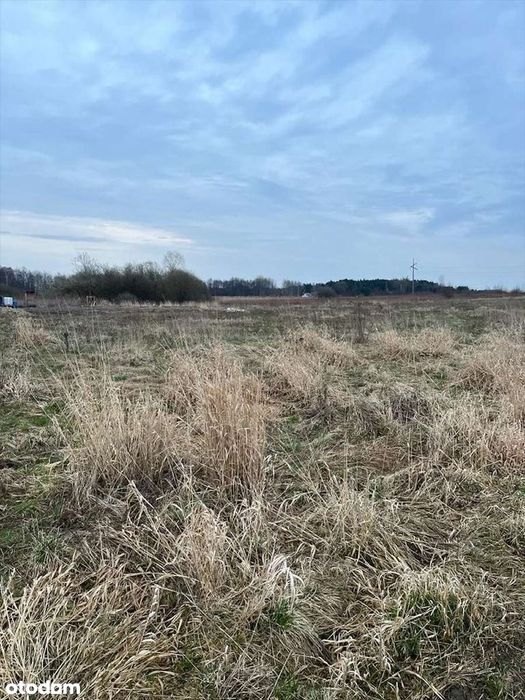 Działka budowlana 1200 m² - gmina Konstancin Jeziorna