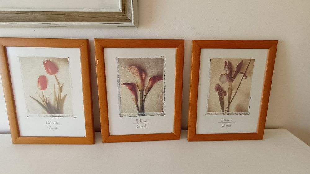 3 gravuras emolduradas