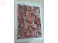 Puzzle ( 900 peças ) Anne Geddes ( Ref 57625 ) Bébés com rosas