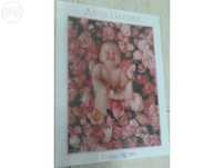 Puzzle ( 900 peças ) Anne Geddes ( Ref 57625 ) Bébés com rosas