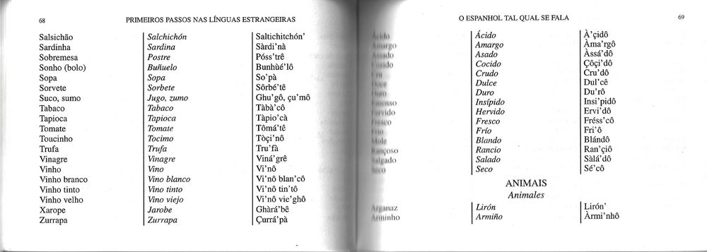 O Espanhol tal qual se Fala