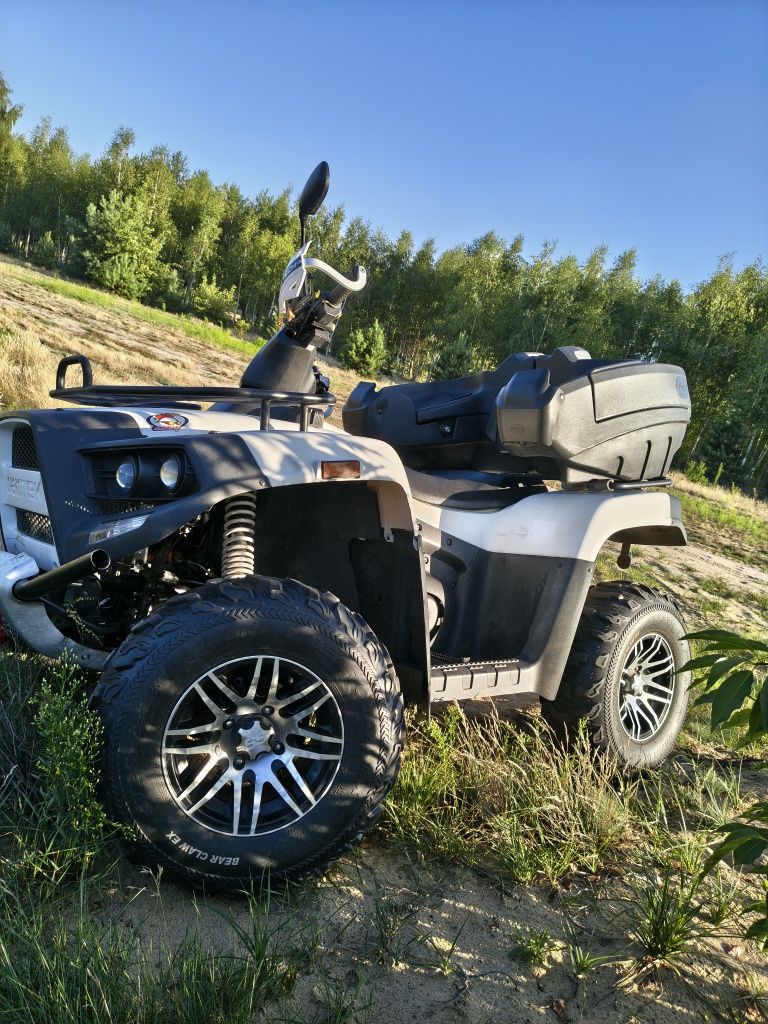 Cectek gladiator