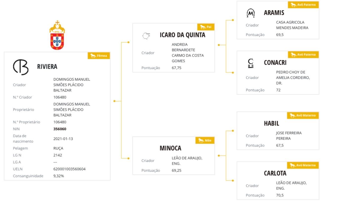 Éguas lusitanas para venda