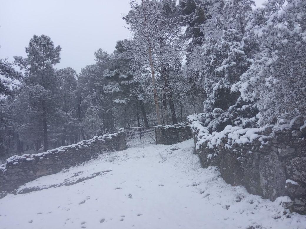 Casa Férias gerês e Cabreira