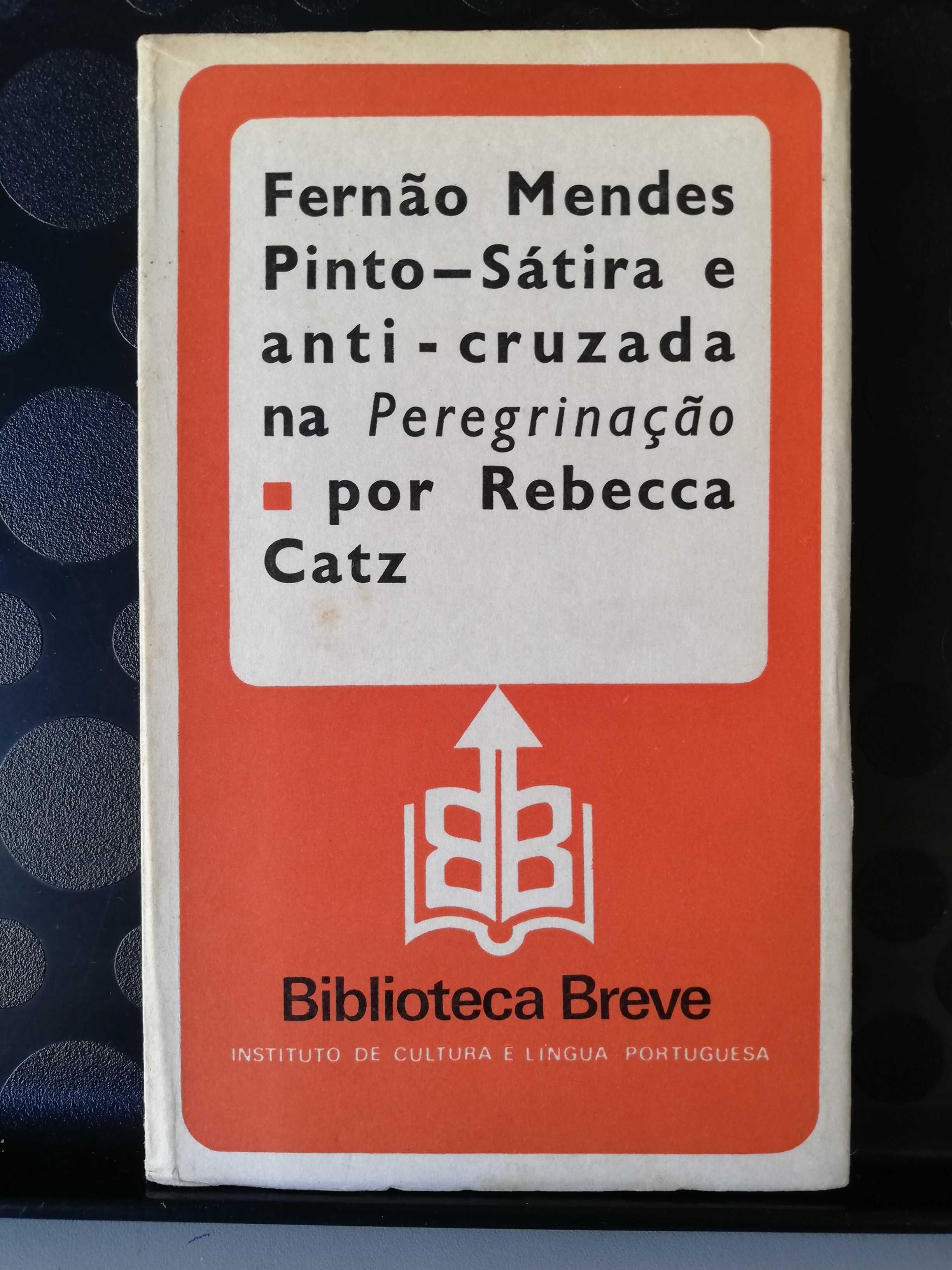 Fernão Mendes Pinto. Sátira e anti-cruzada na Peregrinação