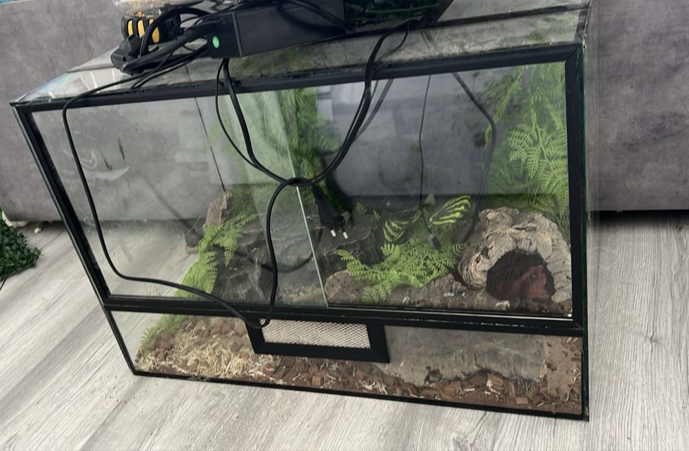 Terrário 60x35x40cm