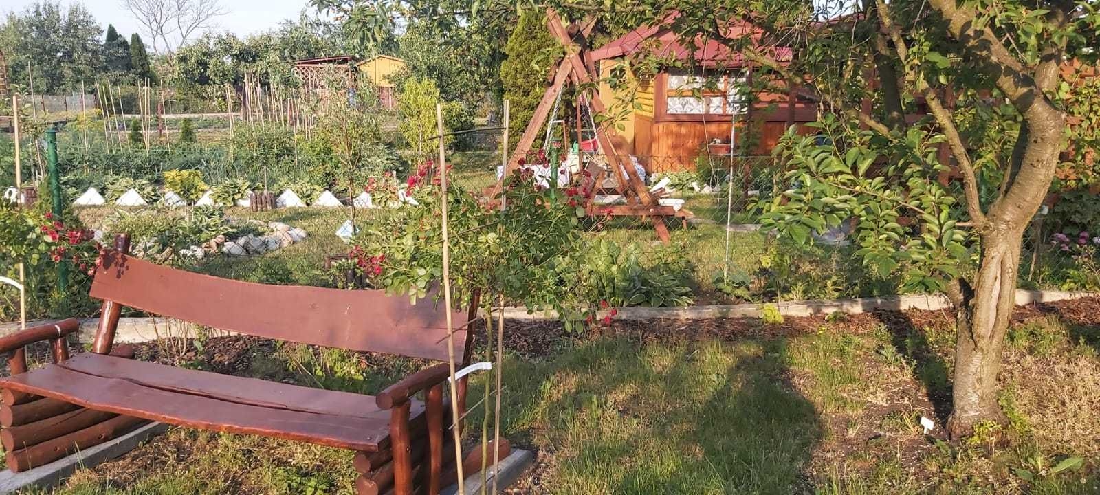 Działka rekreacyjna ROD "TULIPAN"