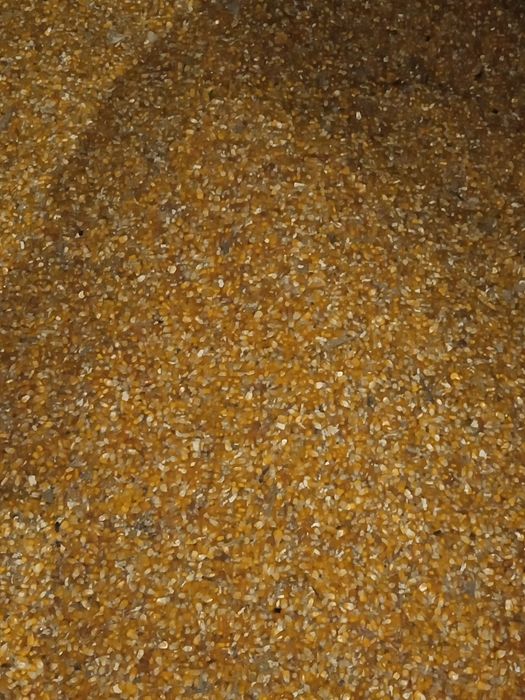 Продам Кукурудзу