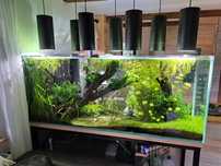 Akwarium 700l sump 200l stelaż