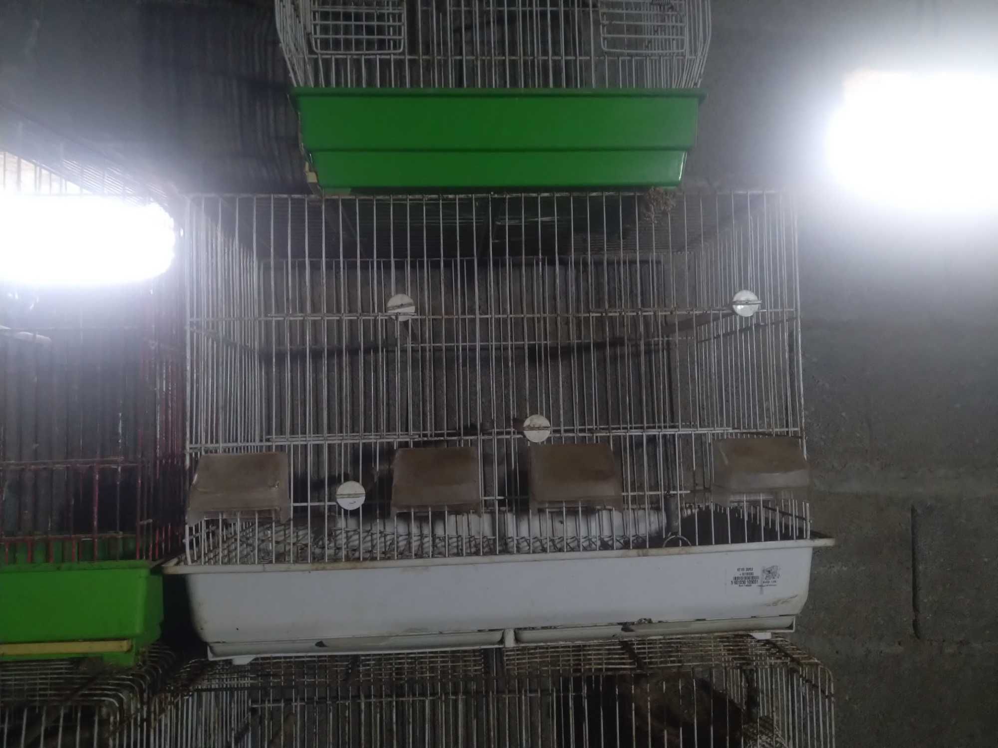 Gaiolas para pássaros