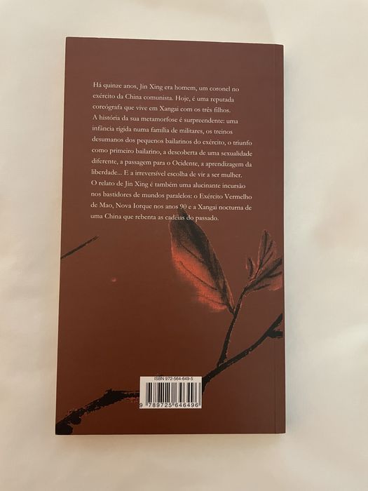 Nada acontece por acaso, Jin Xing (PORTES INCLUÍDOS)