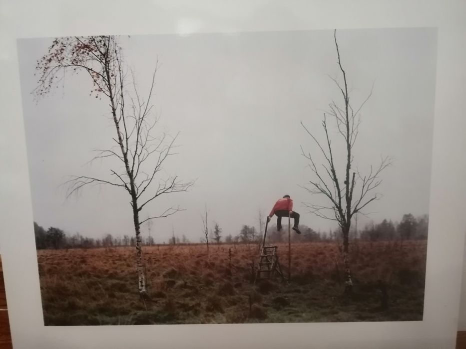 Fotografias Janne Lehtinen parte 3