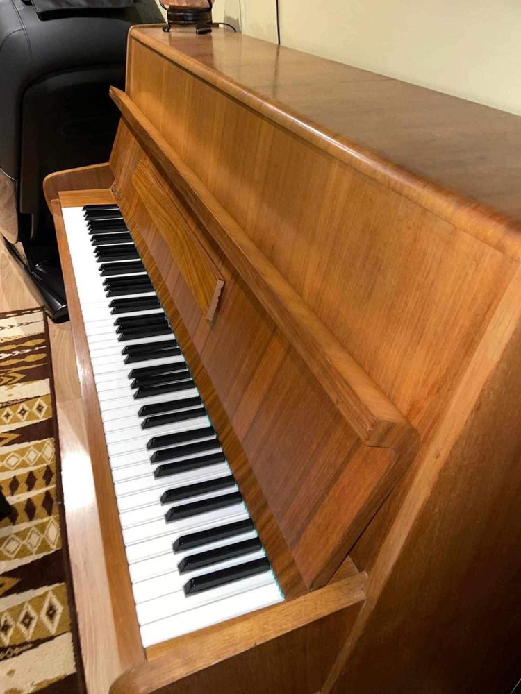 Pianino Calisia M-105