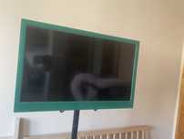 Telewizor TCL zielony 24 cale