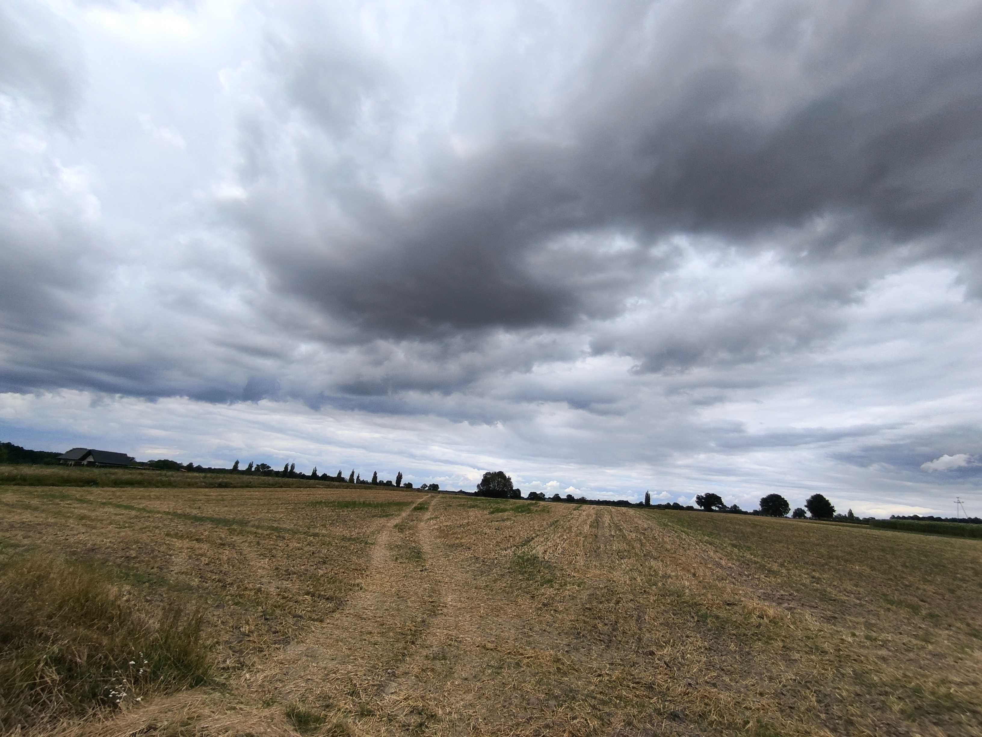 Działka budowlana - Zalesie - 12 ar