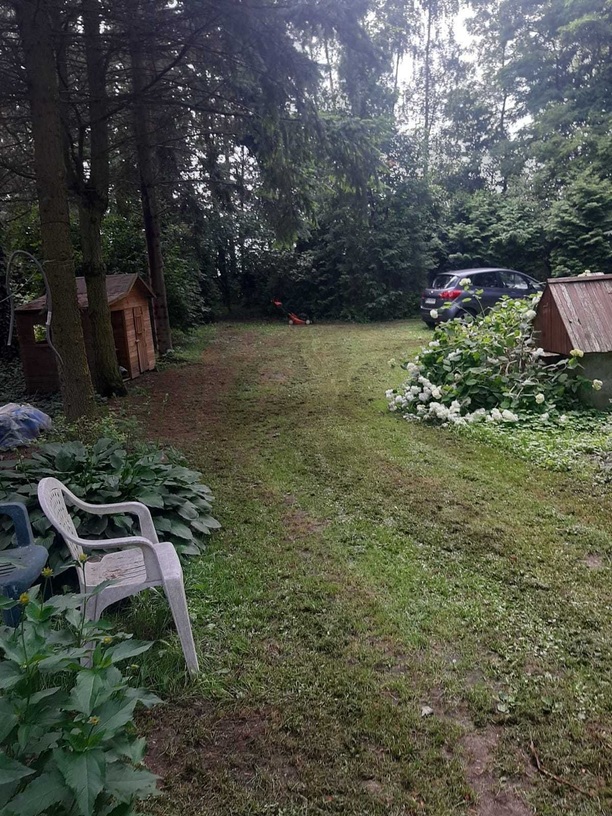 Bajkowe siedlisko niedaleko Czyżewa