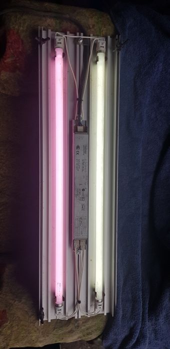 Баласт,лампи,акваріум,helvar el2x24ngn5