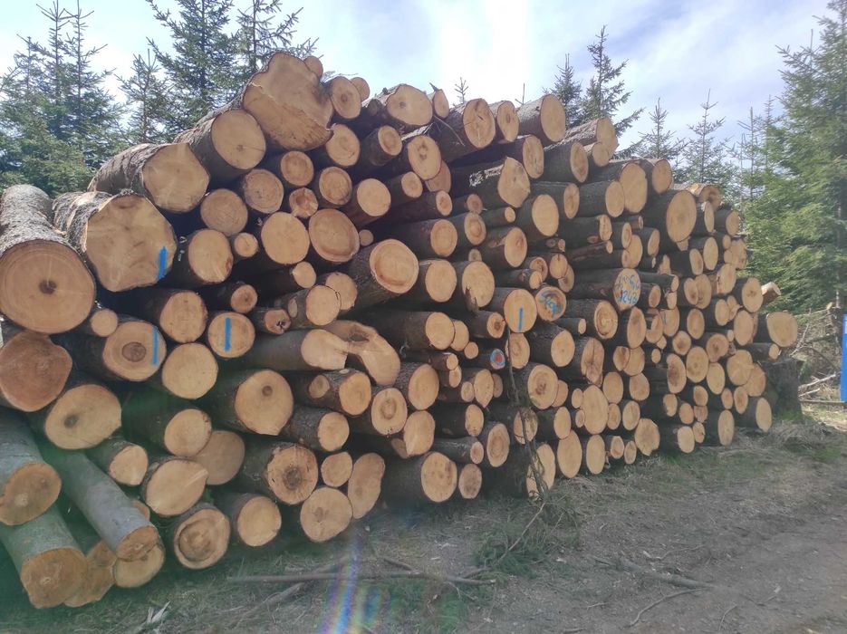 Wielka promocja drewno opalowe pociete rabane gotowe