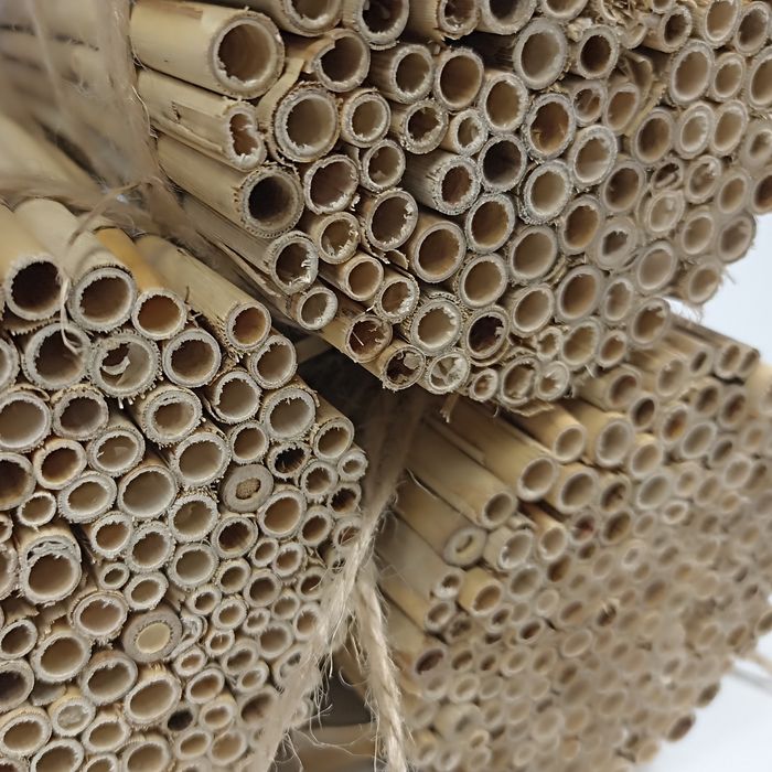 Domek dla owadów 6 SZTUK trzcina owadów pszczół nożycówki zapylaczy