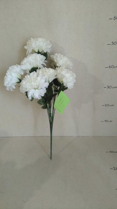 Korpus, kwiaty, liście ,bukiet chryzantemy