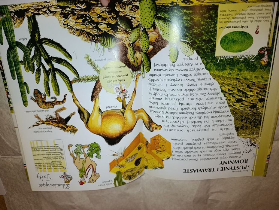 Encyklopedia dla dzieci