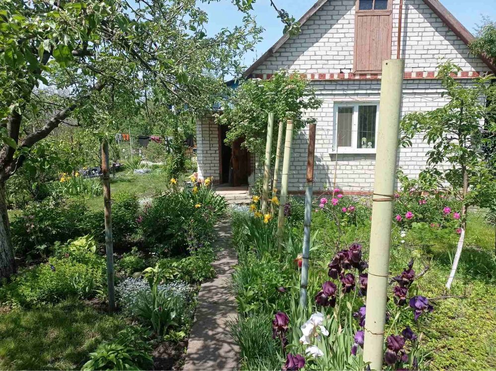 Продам не дорого гарну, затишну дачу с.Бурти