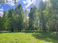 Atrakcyjna Działka Pod Budowę Domu Obok Lasu - 2180m² - Właściciel