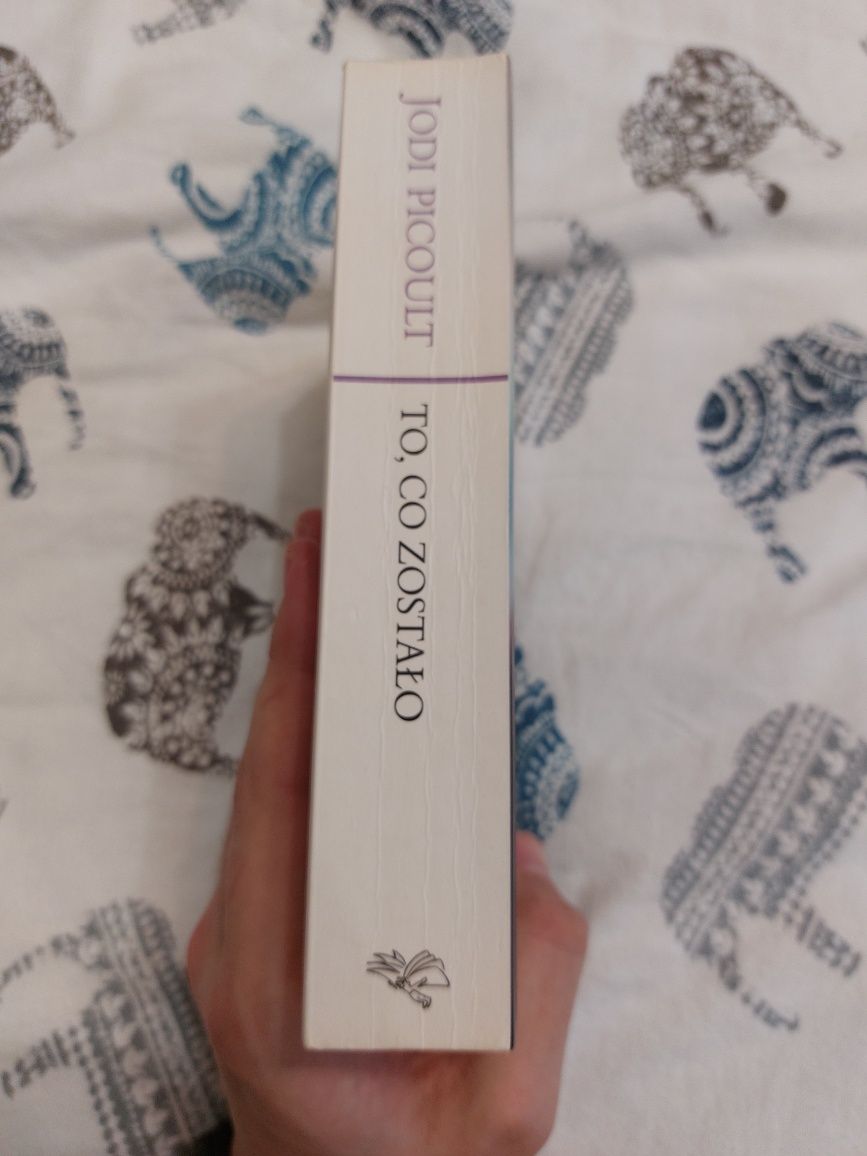 To, Co Zostało Jodi Picoult