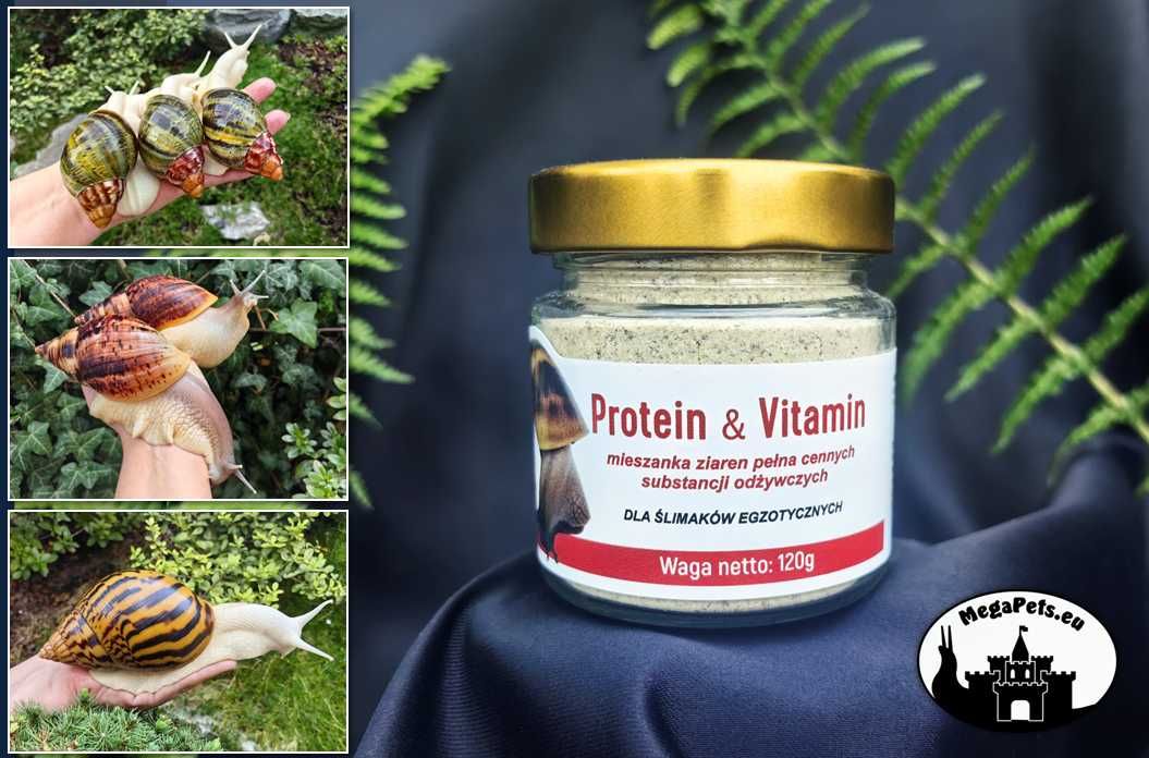 Mix ziaren Protein Ślimak Achatina Lissachatina Archachatina Suplement
