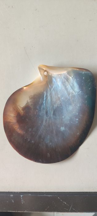 Concha madrepérola esculpida 15 cm