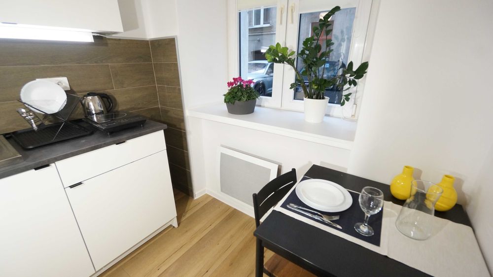 RENTAROOM.PL ENG RUS studio z antresolą Piotrkowska ul.Sienkiewicza